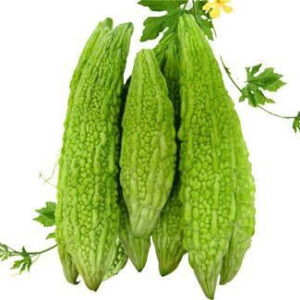 Green Bitter gourd long