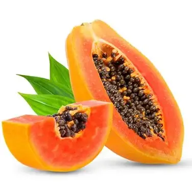 Red-lady-papaya-1.webp Red Lady Papaya