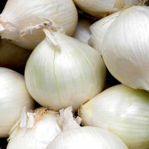 White Onion