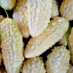 White Bitter gourd