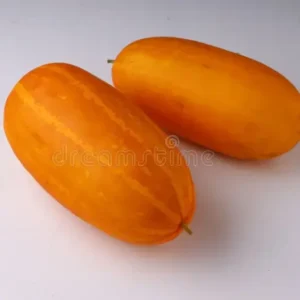 Golden cucumber / Kani Vellari